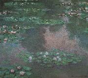 Claude Monet Waterlilies Sweden oil painting reproduction
